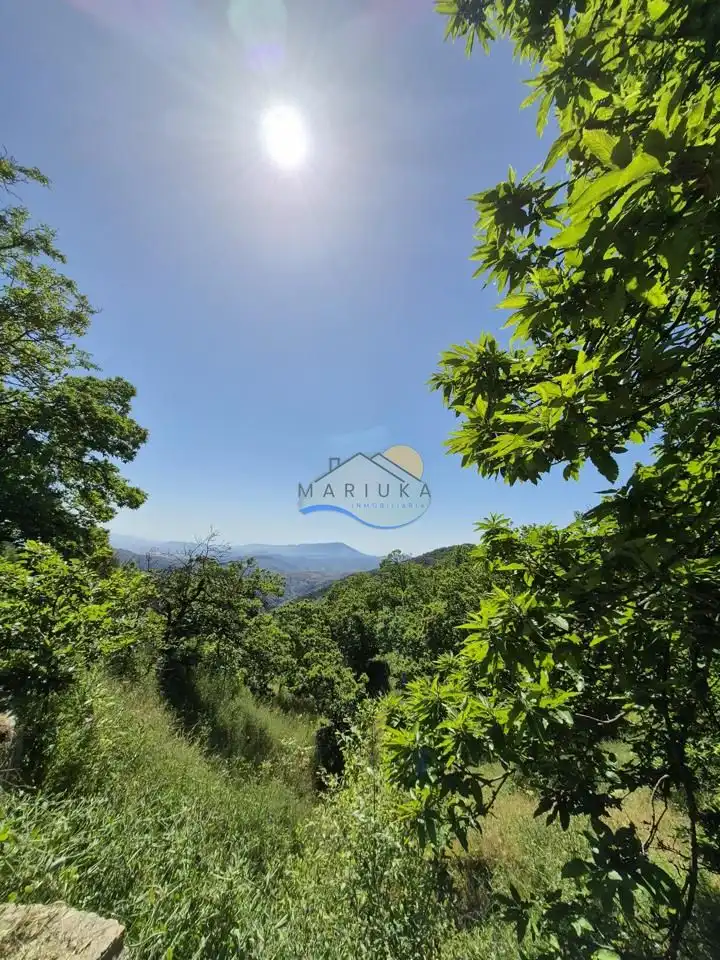 Terreny rústic en venda a poligono 10, imagen 32