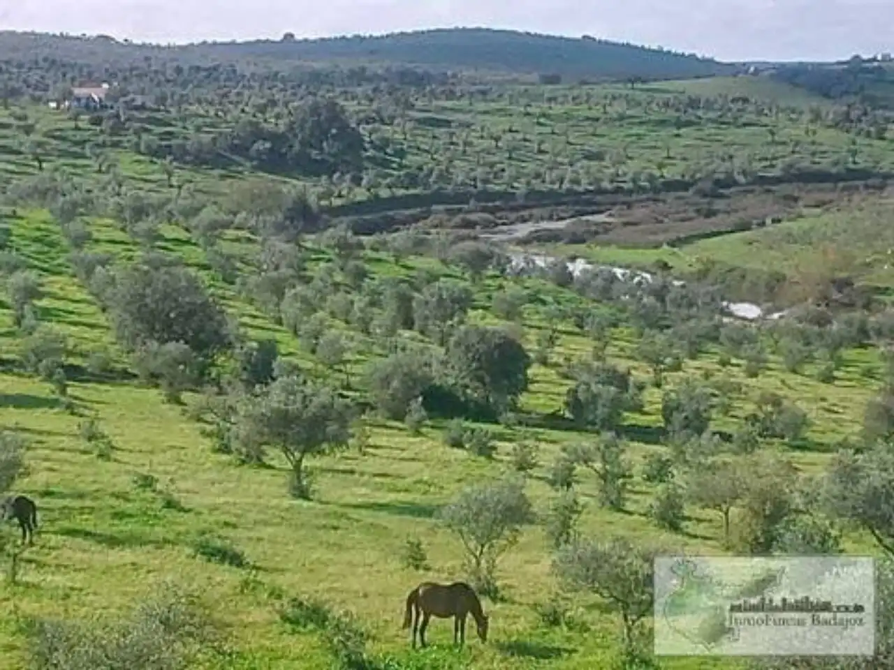 Finca rústica en venta en Higuera de Vargas con Aire acondicionado, Jardín privado y Terraza