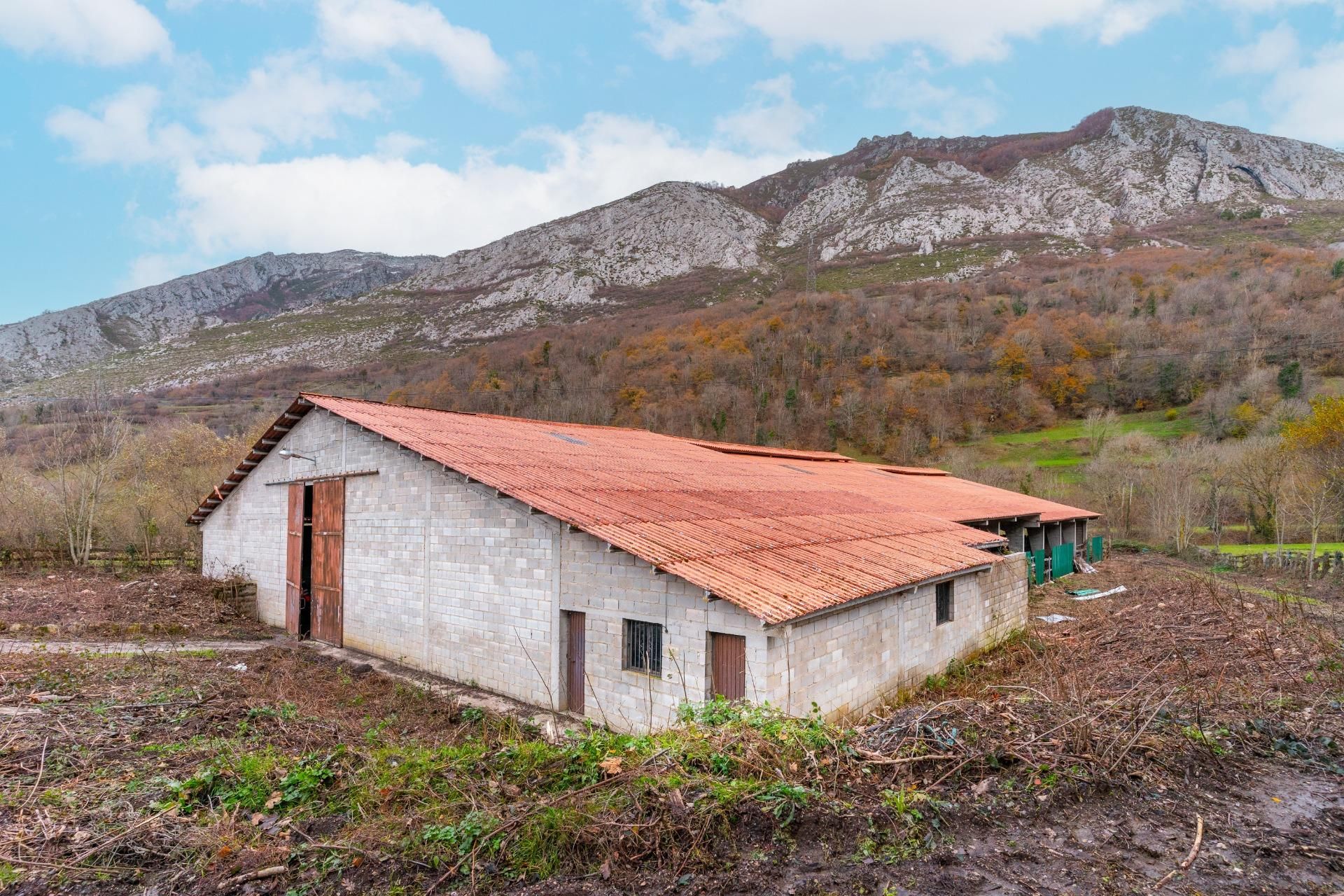 Exterior view of Premises for sale in Caso  with Furnished