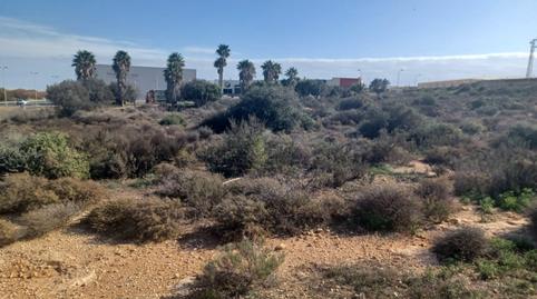 Foto 4 de Residencial en venda a Las Norias, El Ejido