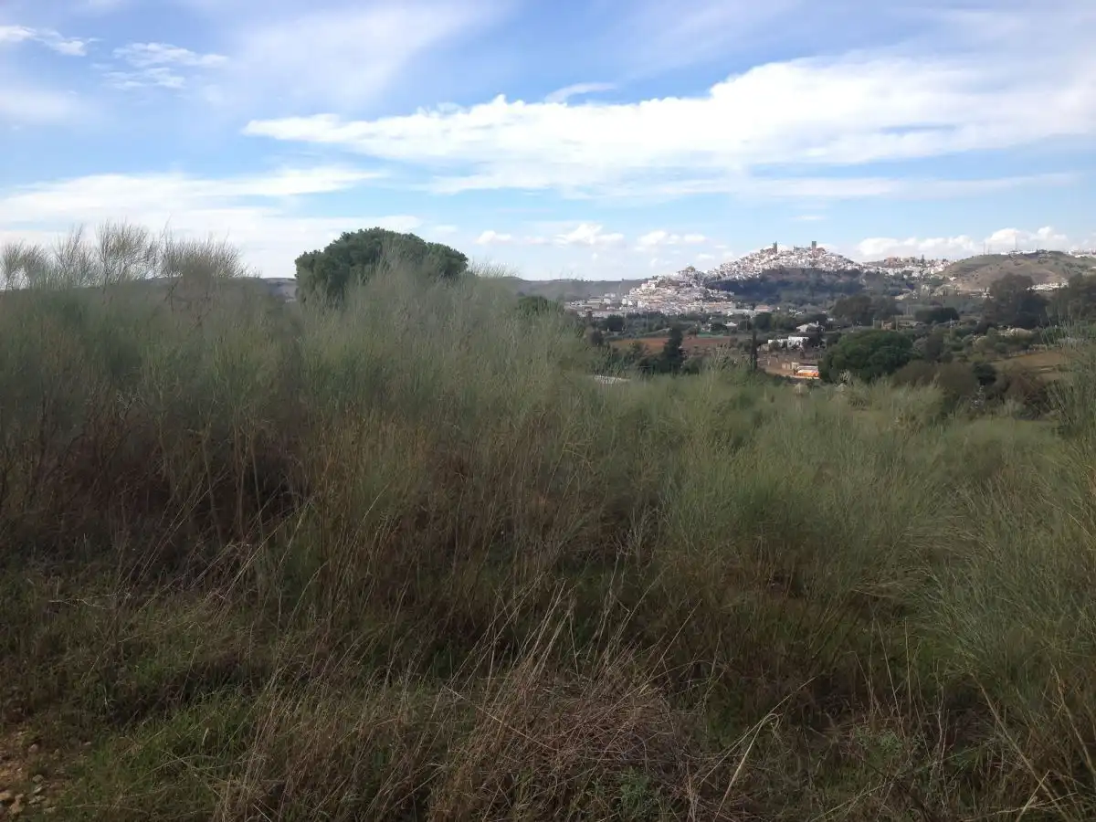 Terreno residencial en venta en Arcos de la Frontera, imagen 6