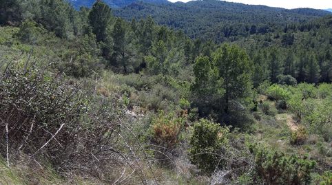 Foto 3 de Terreno en venta en Gandesa, Tarragona