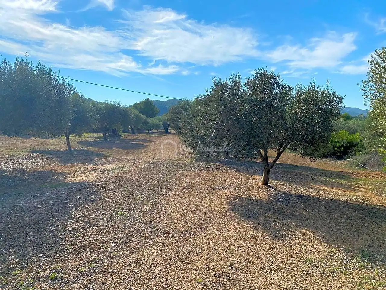 Rural land for sale in Partida Pedres, imagen 6
