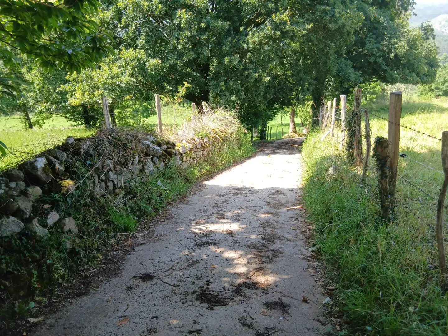 Terreni e lotti in vendita a San Felices de Buelna, imagen 6