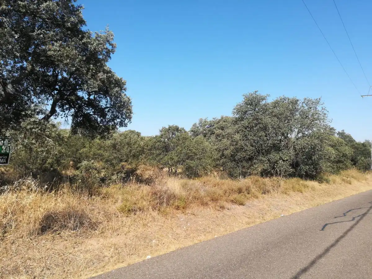 Terreni e lotti in vendita a Carretera de Sevilla - Los Montitos, imagen 2
