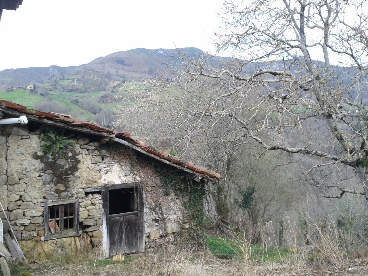 Vista exterior de Casa o xalet en venda en Parres