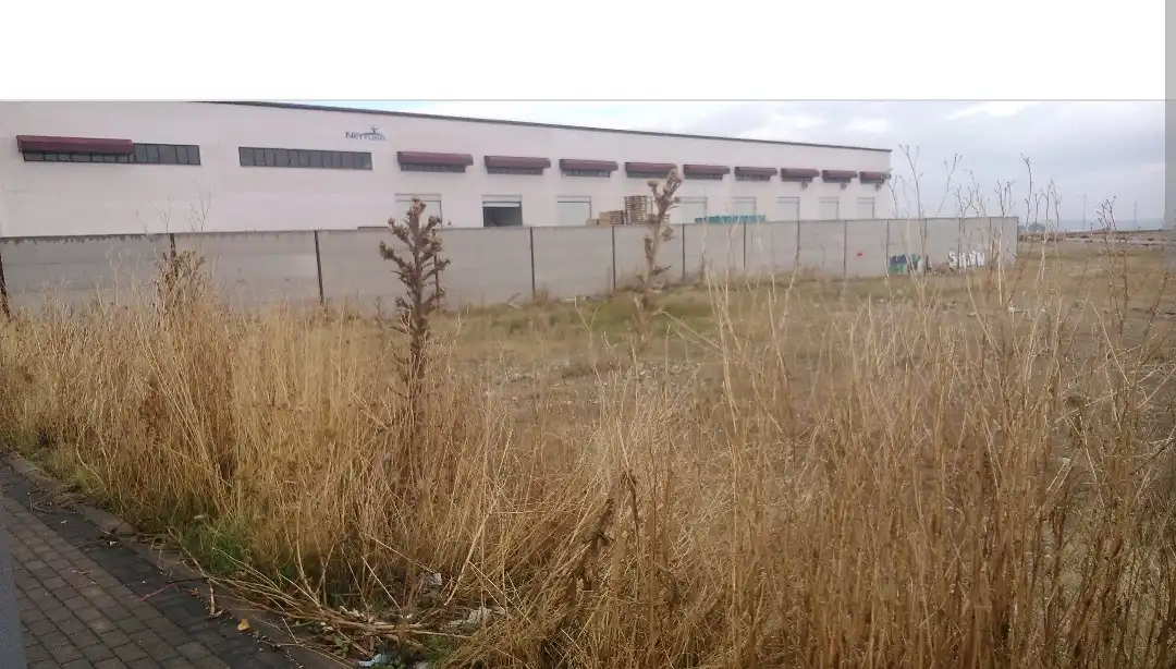 Terreny industrial en venda a Avenida de Nísperos, Los Cestos - Belén - Las Eras