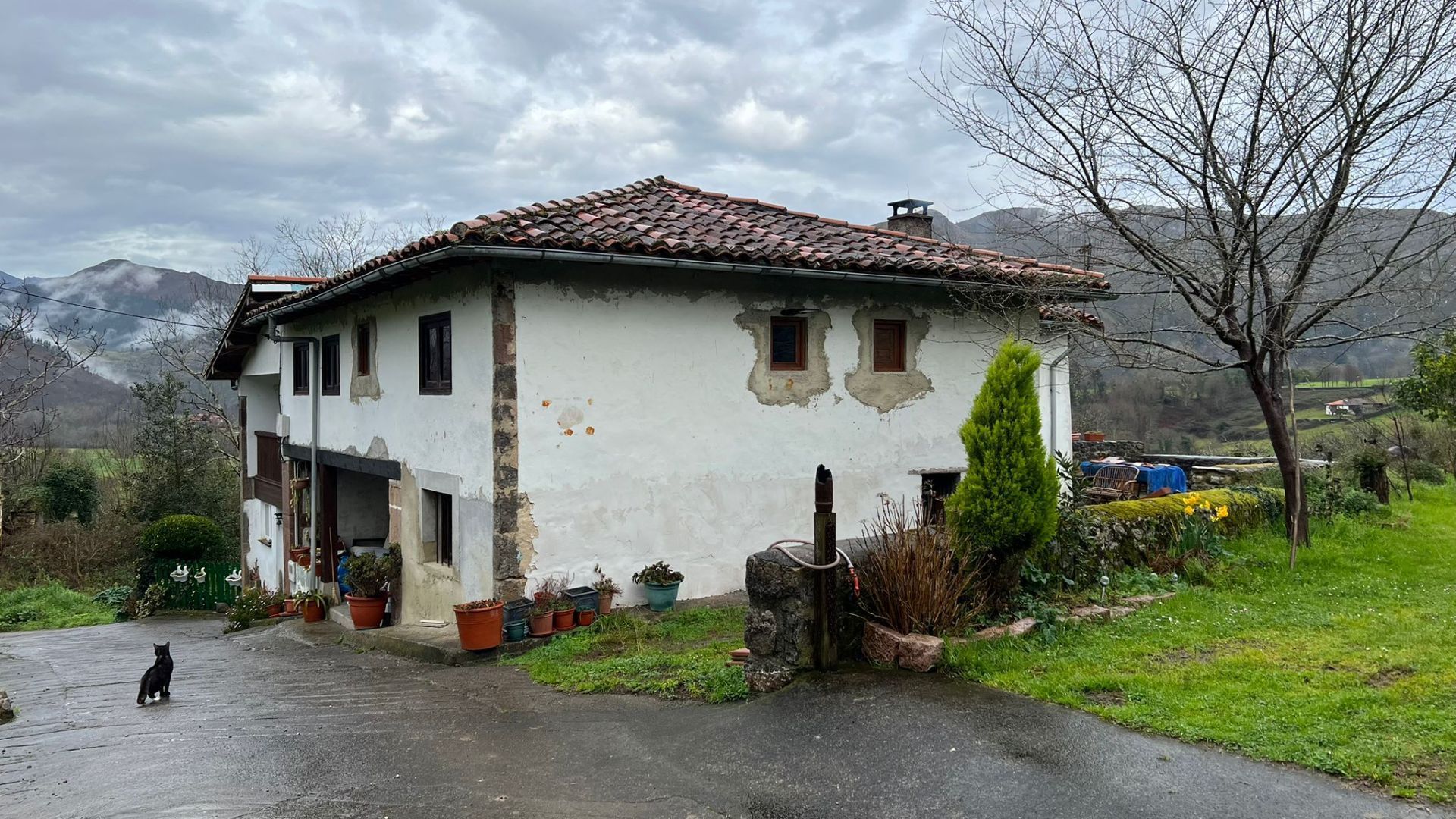 Exterior view of House or chalet for sale in Cangas de Onís  with Private garden