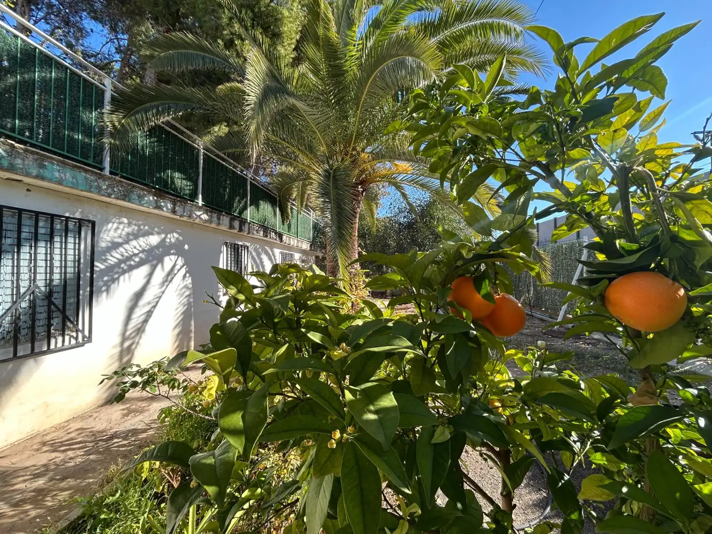 Villa mit Pool zum Verkauf in SERRETA, imagen 20
