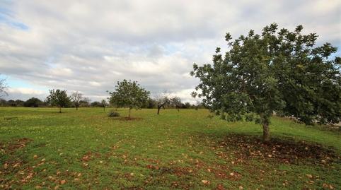 Photo 3 of Residential for sale in Cala Magrana - Cala Anguila - Cala Mendia, Illes Balears