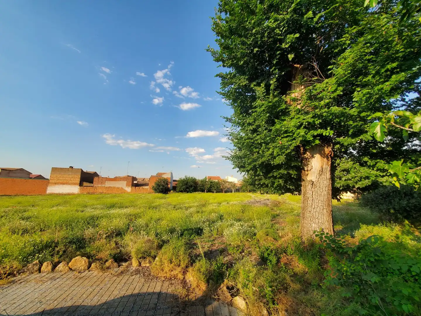 Casa o chalet en venta en Malagón con Terraza
