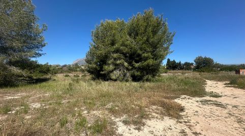 Foto 3 de Terreno en venta en Camí del Sarandó, 28, Pueblo - Urbanizaciones, L'Alfàs del Pi