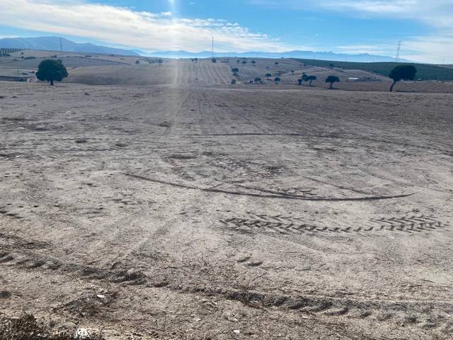 Terreno en Venta en Calle Ganaderos en Pedro Martínez