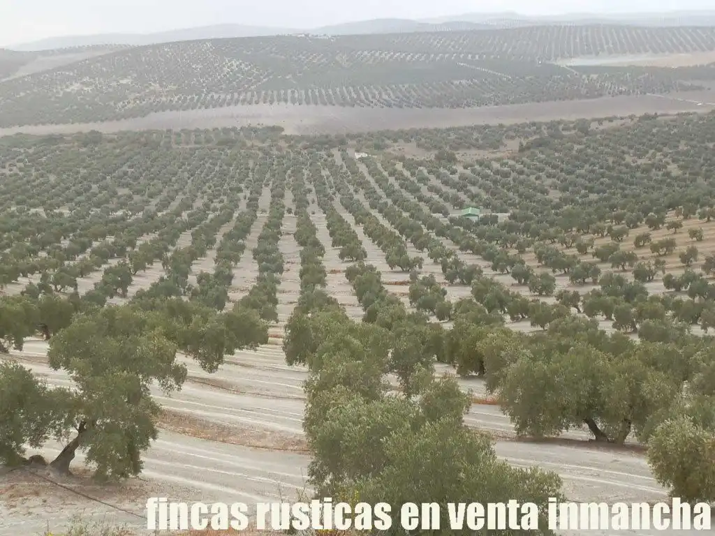 Terreni e lotti in vendita a Andújar, imagen 3