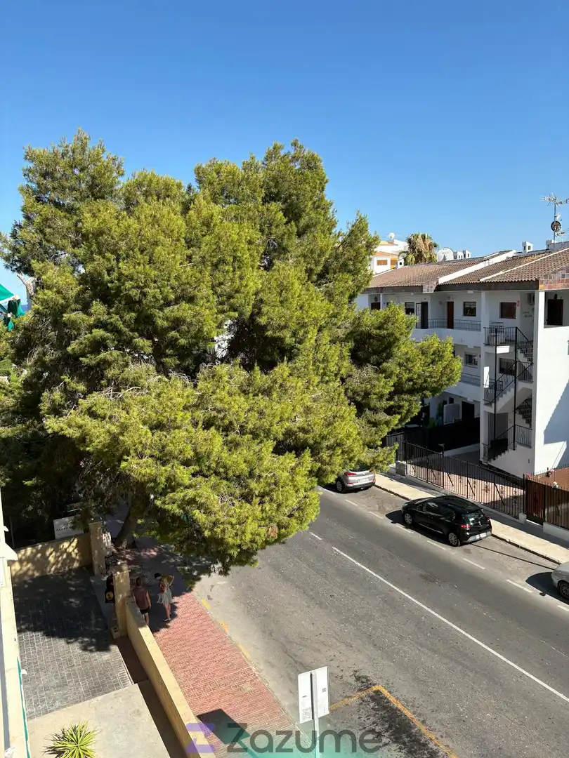 Exterior view of Flat for rent in Torrevieja  with Air Conditioner, Terrace and Swimming Pool