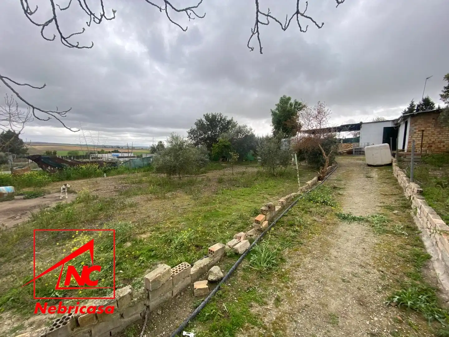 Finca rústica en venda en Las Cabezas de San Juan