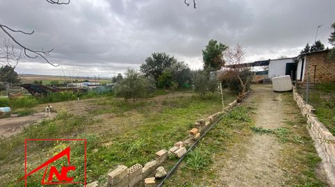 Foto 4 de Finca rústica en venda a Las Cabezas de San Juan, Sevilla