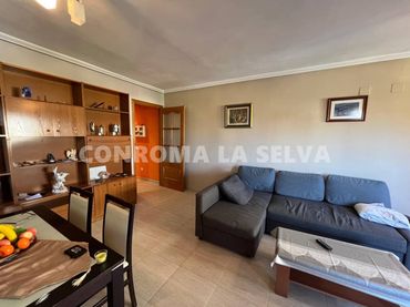 Piso con piscina en venta en El Molí-El Rieral