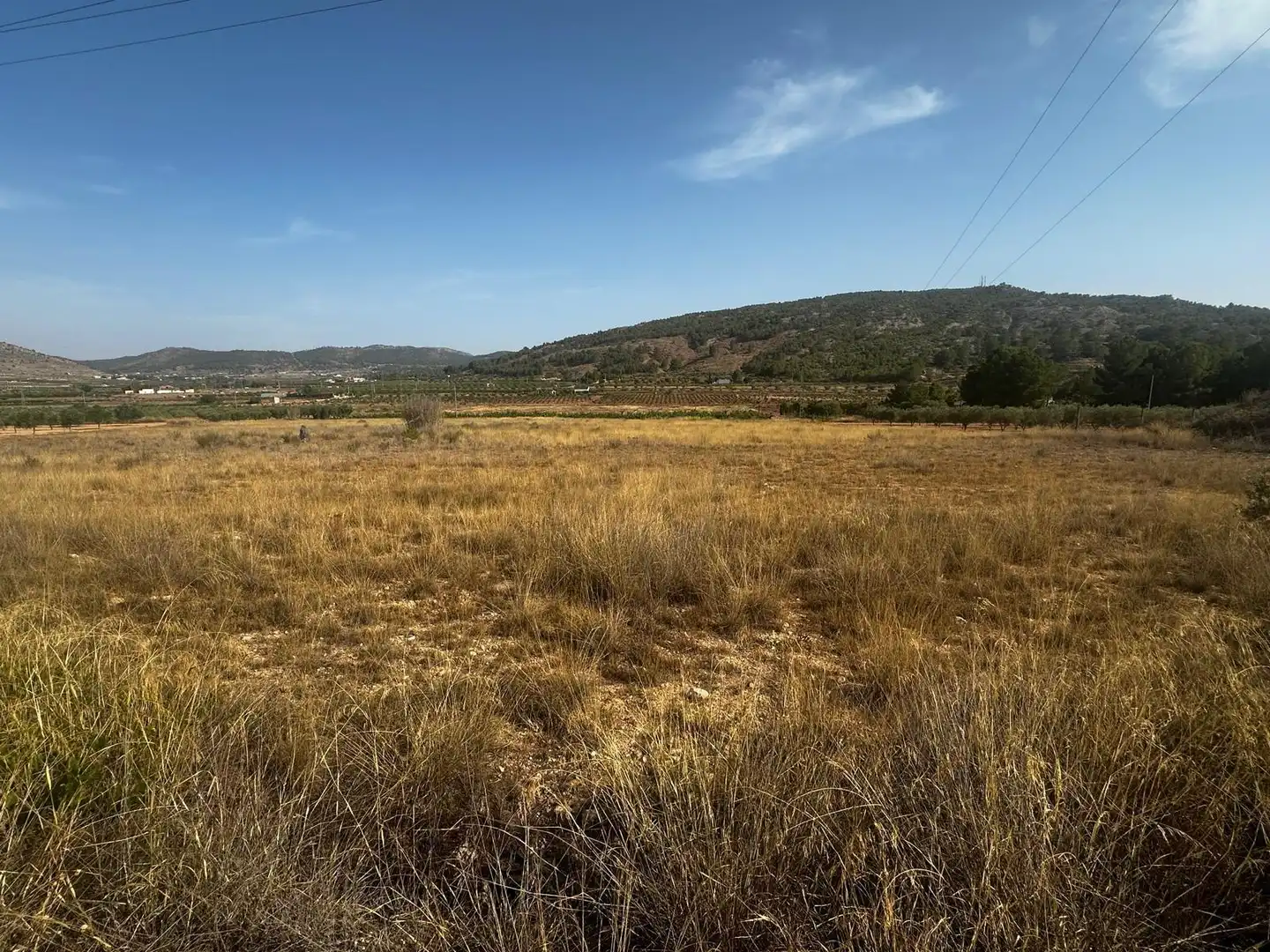 Terreny residencial en venda a El Pinós / Pinoso, imagen 6