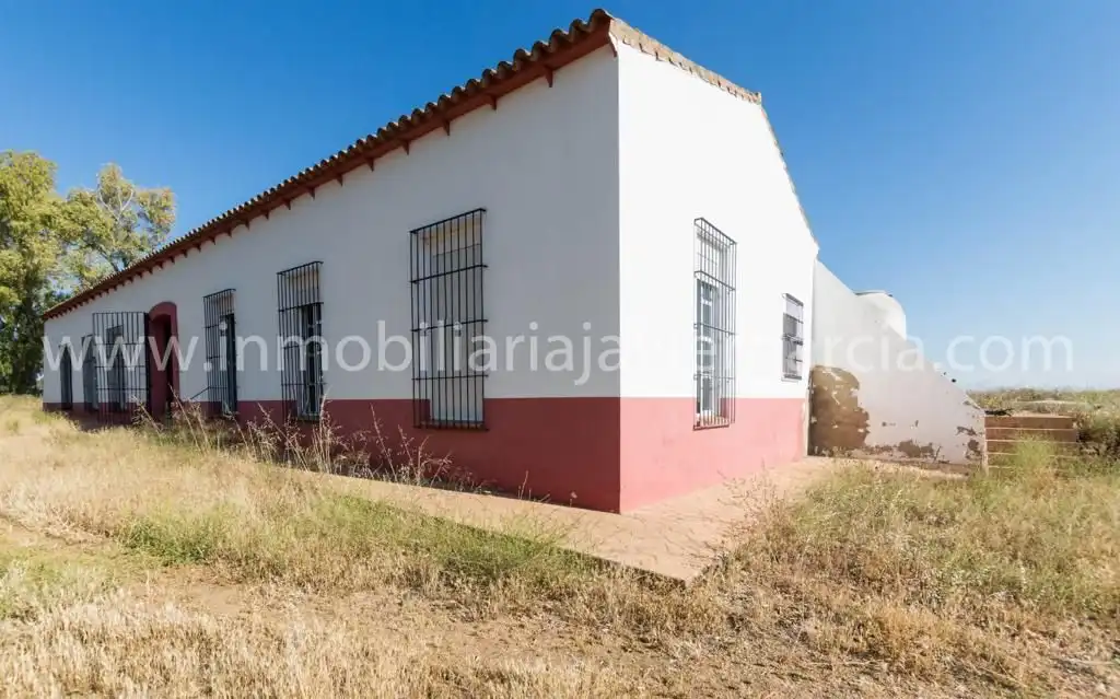 Vista exterior de Finca rústica en venta en Villafranca de los Barros con Terraza