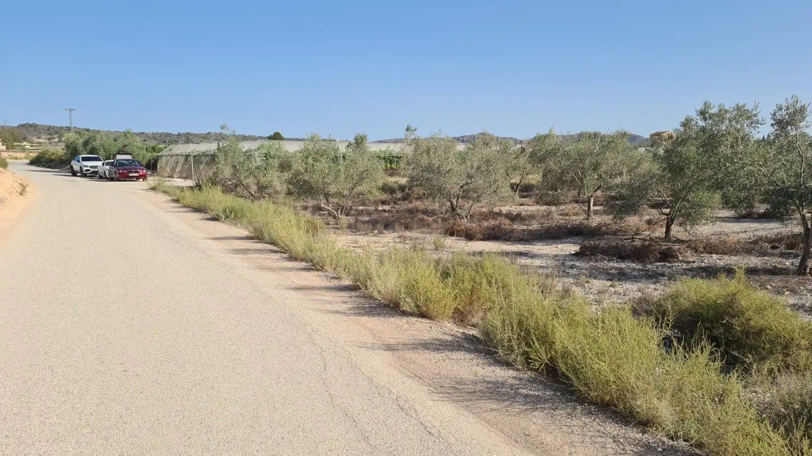 Finca rústica en venda en Alicante / Alacant