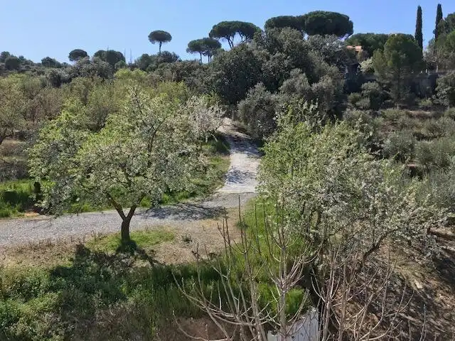 Grundstücke zum Verkauf in La Zubia