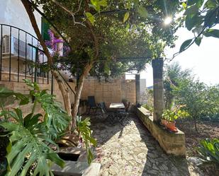 Garden of Country house to rent in Campanet  with Heating, Private garden and Terrace