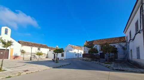 Casa en Plaza  Andalucia, La chica Carlota, imatge 4