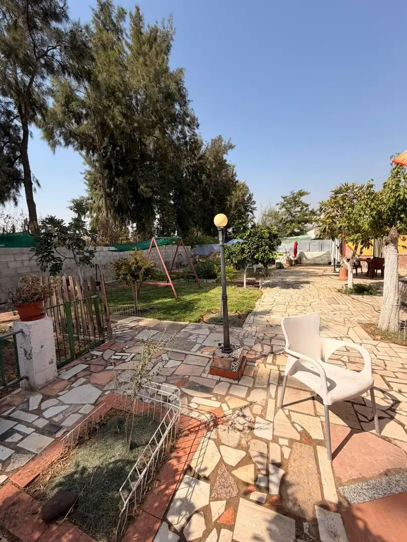 Casa amb piscina en venda a MATALLANA CALLE VIRGEN DEL ROCIO, imagen 32