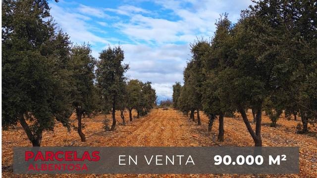 Terreno en Venta en Albentosa