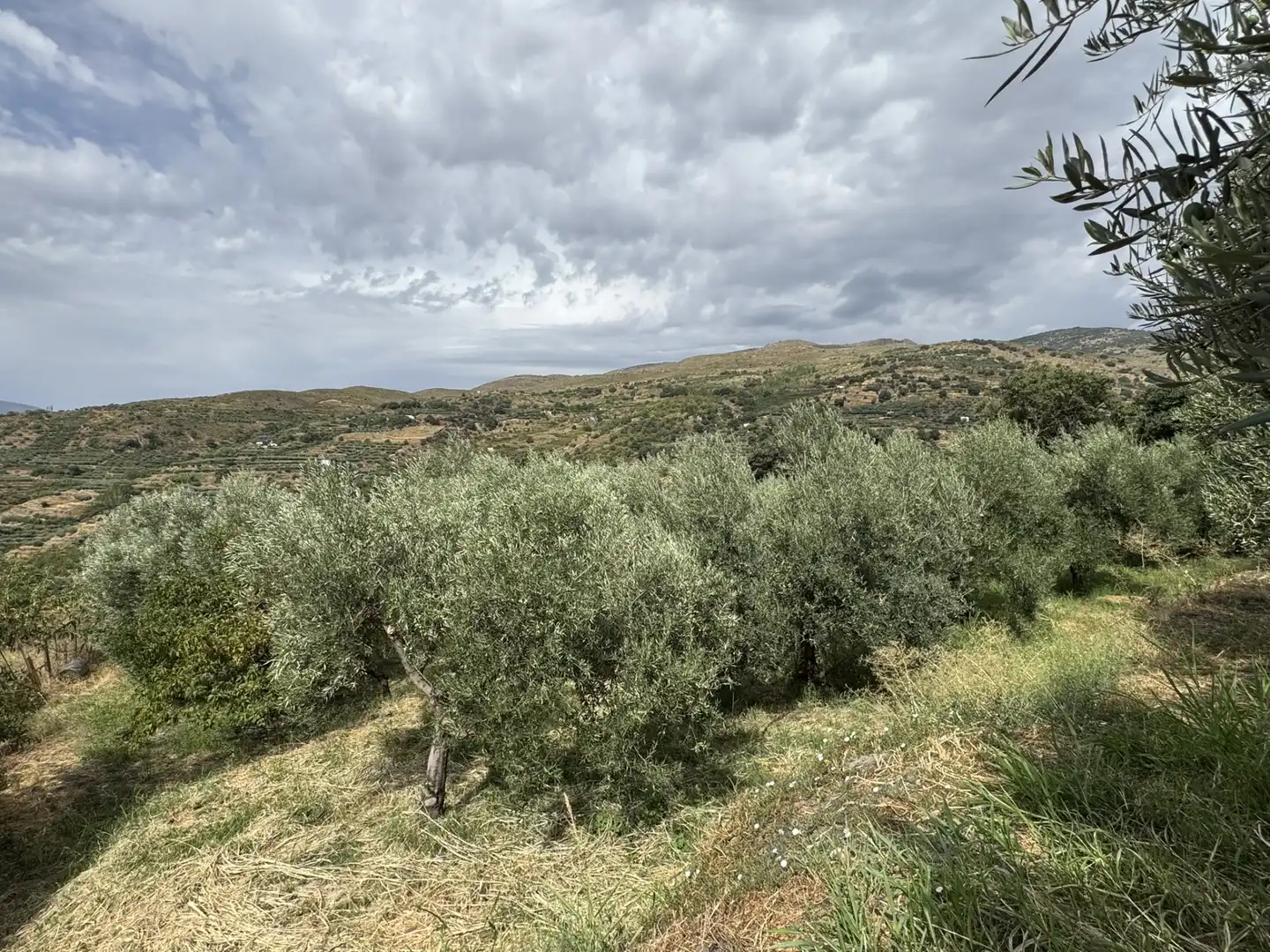 Terreny en venda en Ohanes