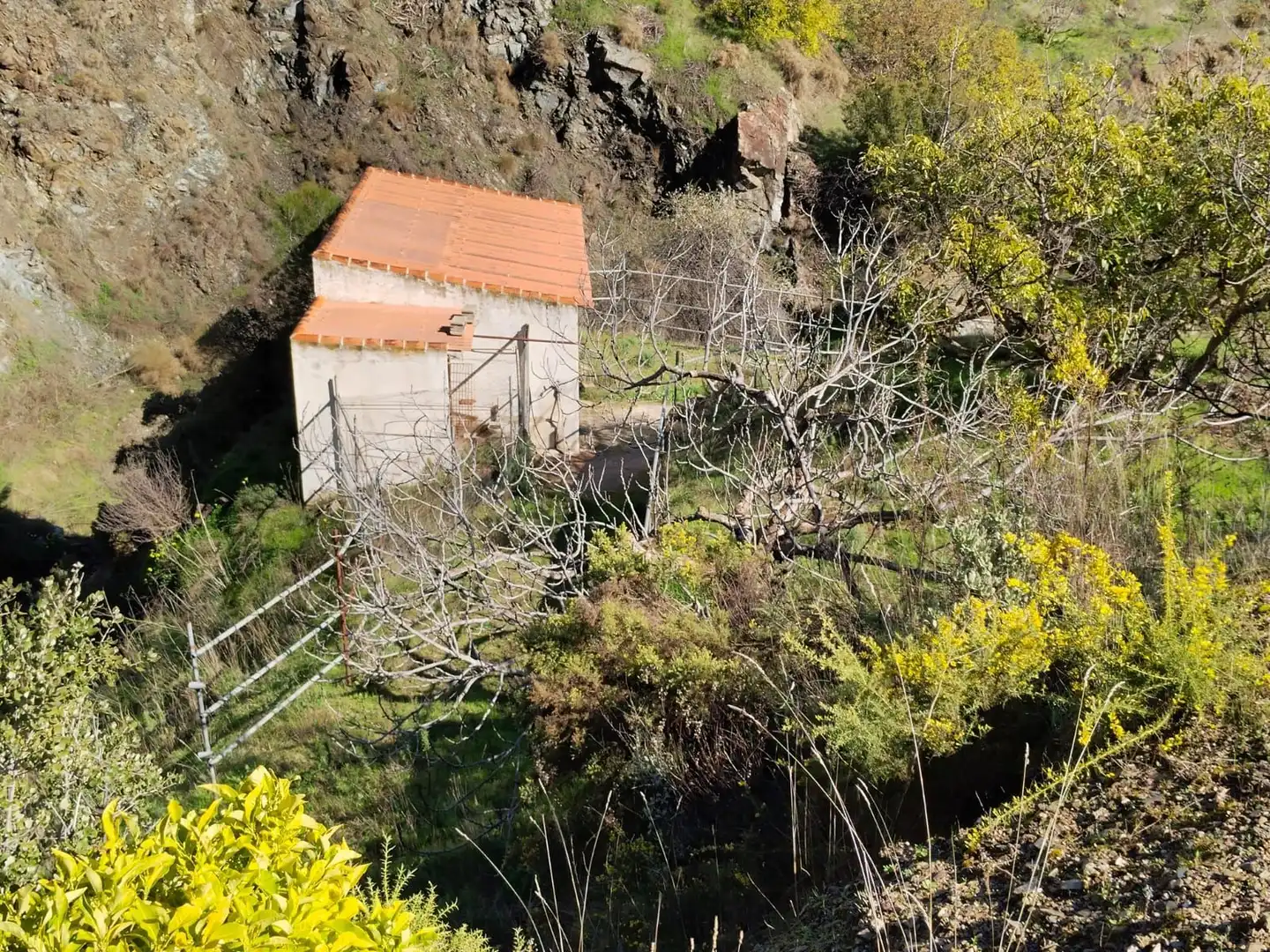 Casa rústica amb piscina en venda a DE LAS VIÑAS, imagen 38