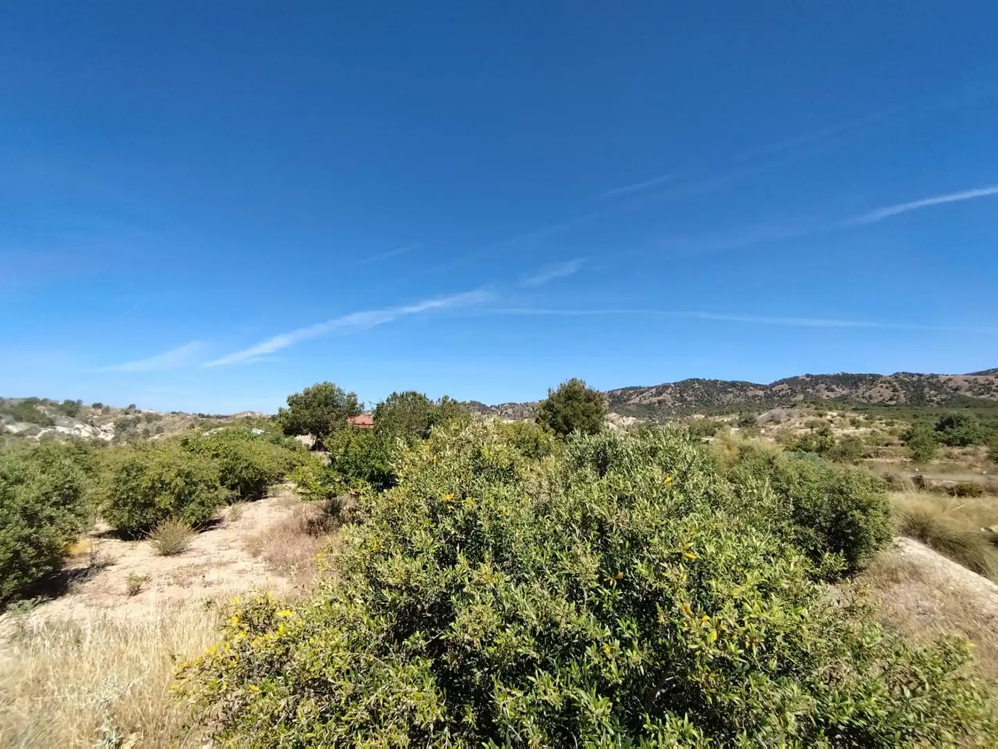 Casa o chalet en venta en Murcia con Trastero y Amueblado