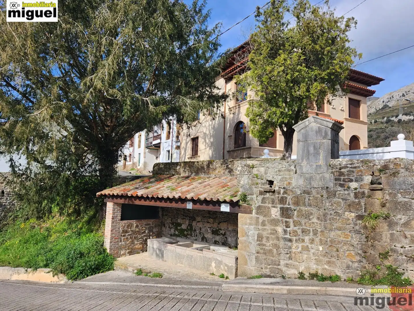 Vista exterior de Finca rústica en venta en Peñamellera Baja con Jardín privado y Terraza