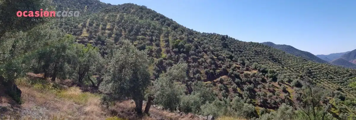 Finca rústica en venta en Villanueva de Córdoba con Jardín privado, Trastero y Amueblado