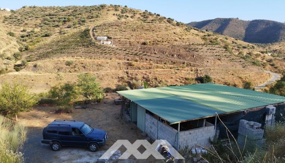 Foto 1 de Casa o chalet en venta en Canillas de Aceituno, Málaga