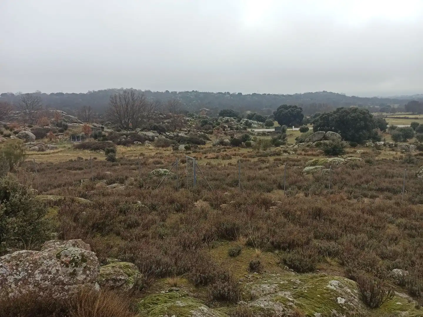 Terreno rustico in vendita a Zarzalejo, imagen 22