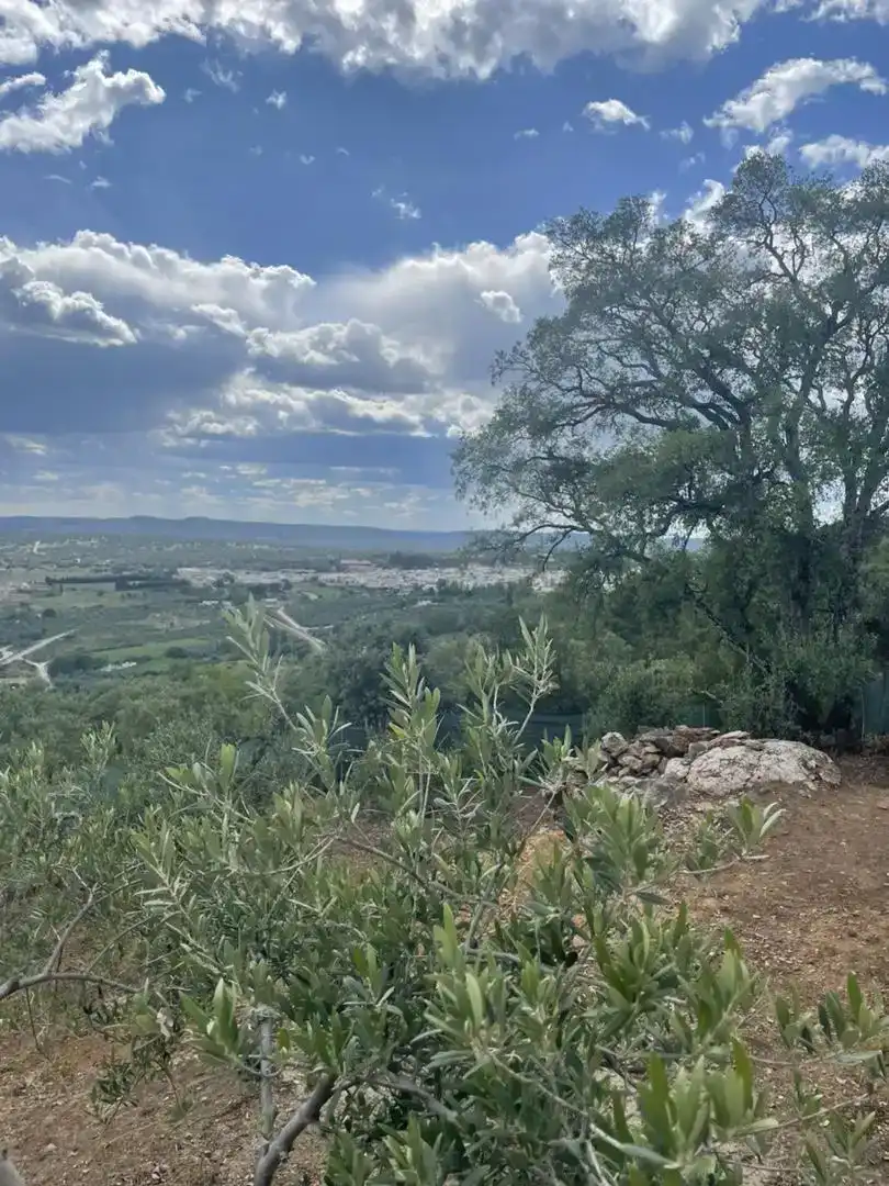 Finca rústica en venda en El Pedroso