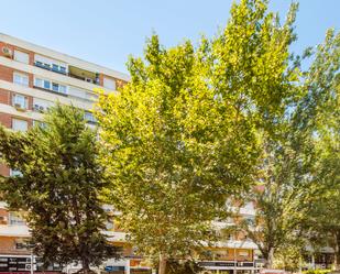 Vista exterior de Pis de lloguer en  Madrid Capital amb Aire condicionat i Terrassa