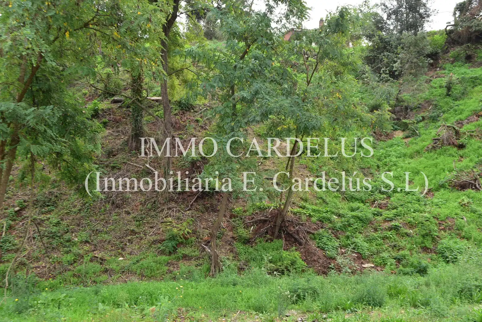 Residential land for sale in Vallgorguina, imagen 5
