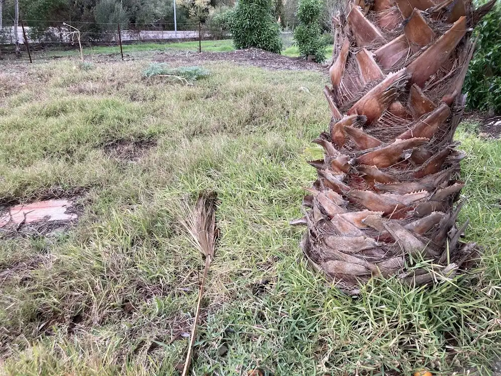 Terreni e lotti in vendita a Los Barrios, imagen 12