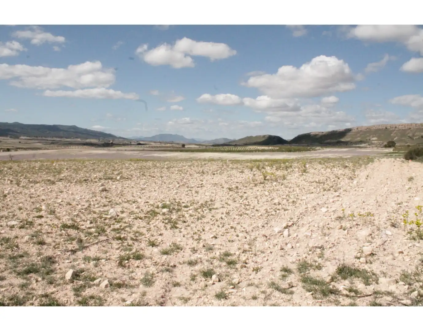 Country house for sale in Jumilla, imagen 31