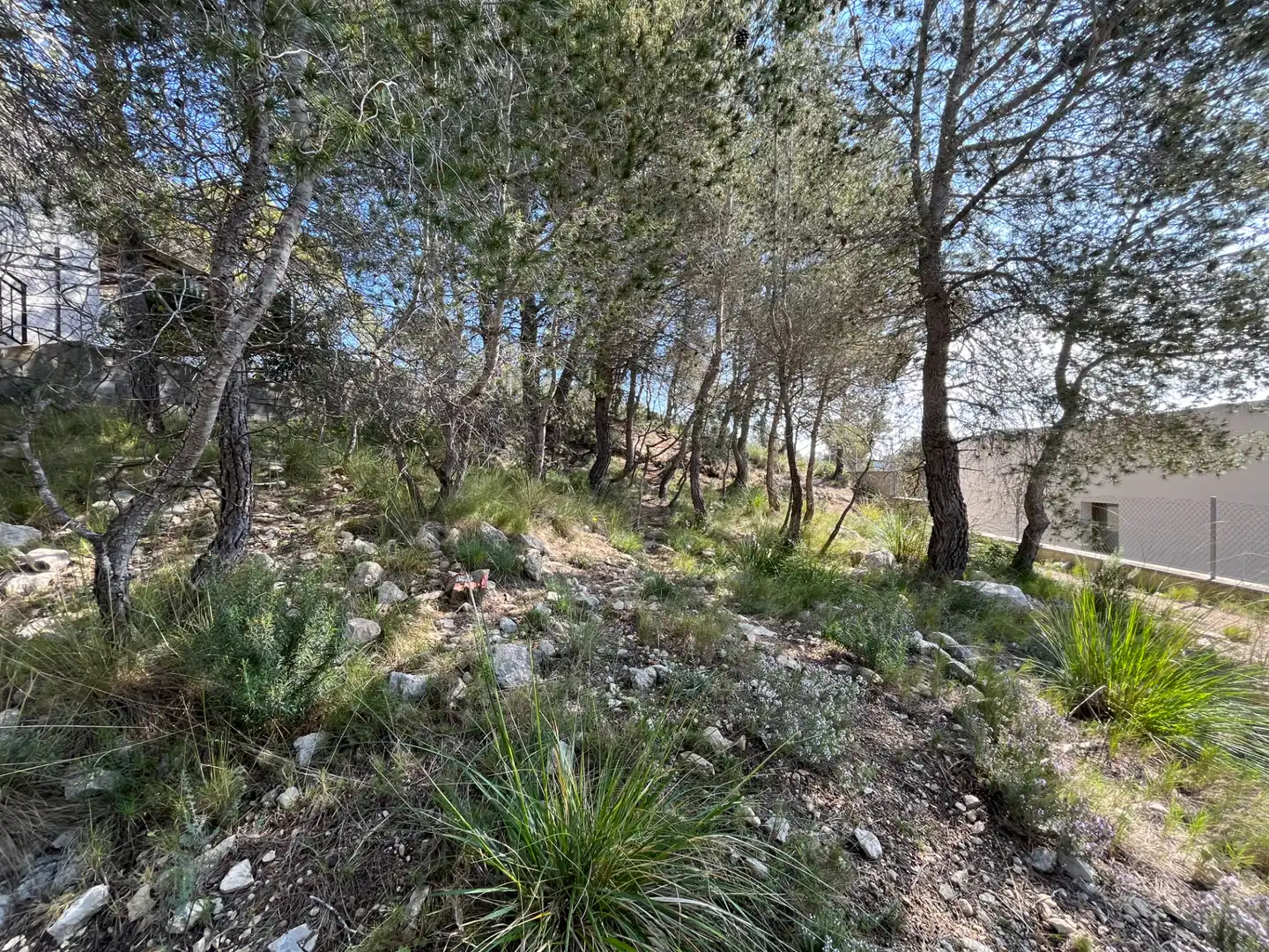Terreno residencial en venta en Passeig Pins 4, imagen 3