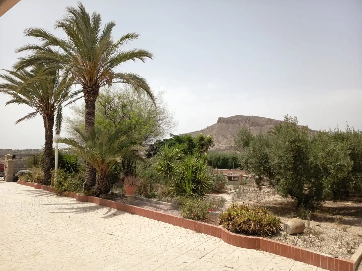 Jardí de Casa o xalet en venda en Alicante / Alacant amb Jardí privat, Terrassa i Piscina