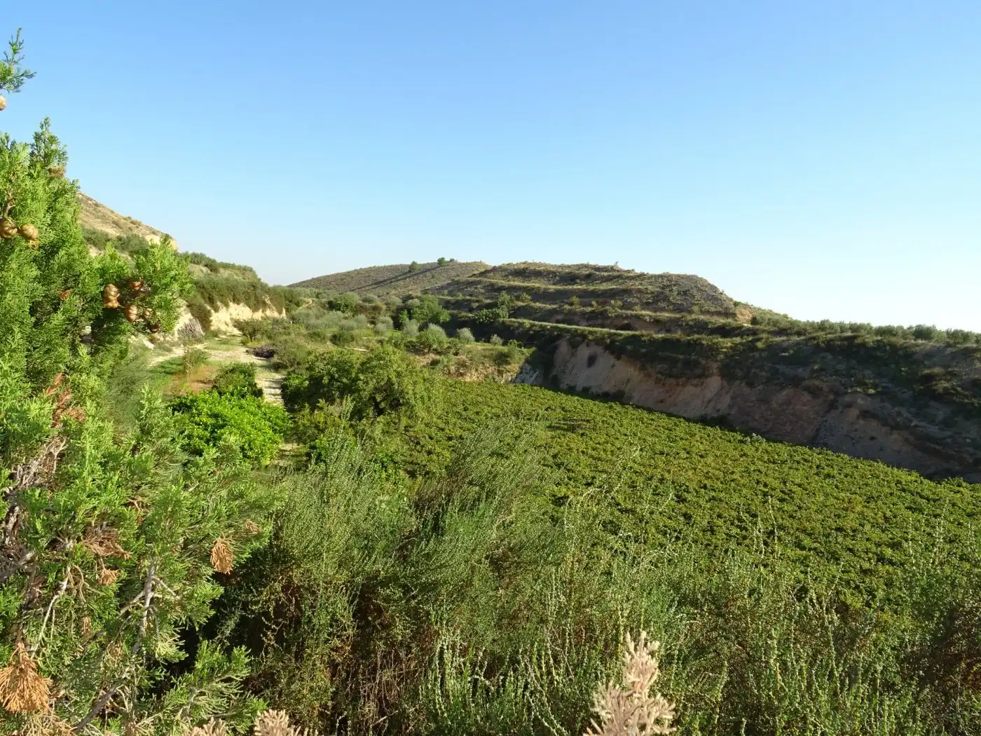 Casa o xalet en venda a Pedanías Este