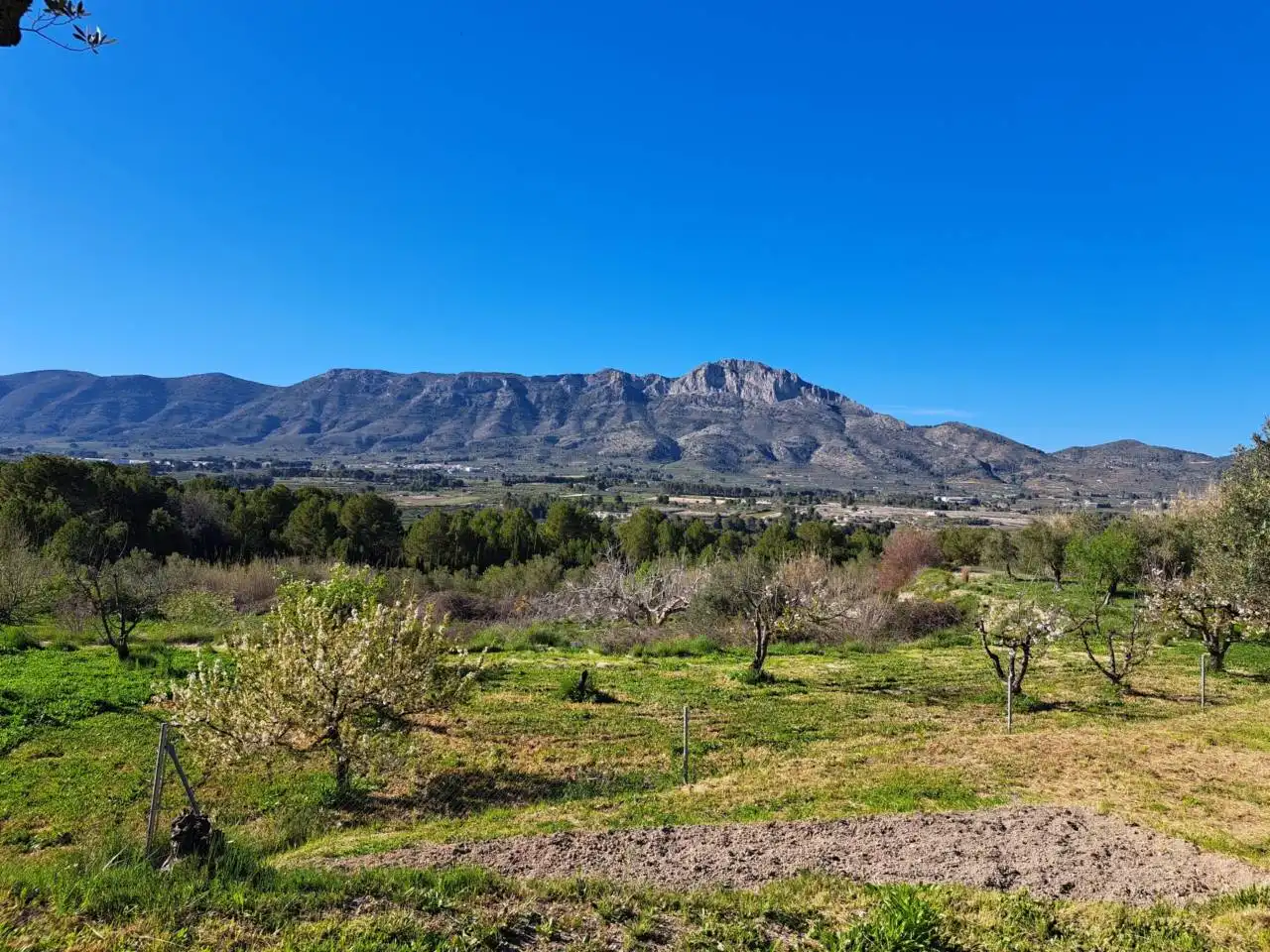 Casa o chalet en venta en Alcosser con Aire acondicionado, Calefacción y Terraza