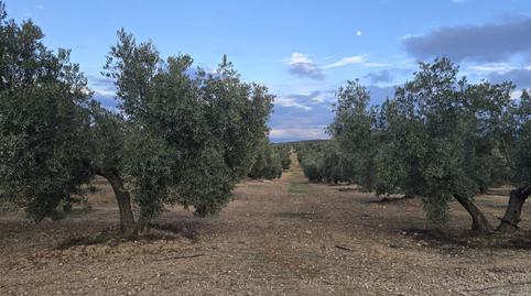 Foto 3 de Terreny en venda a La Roda de Andalucía, Sevilla