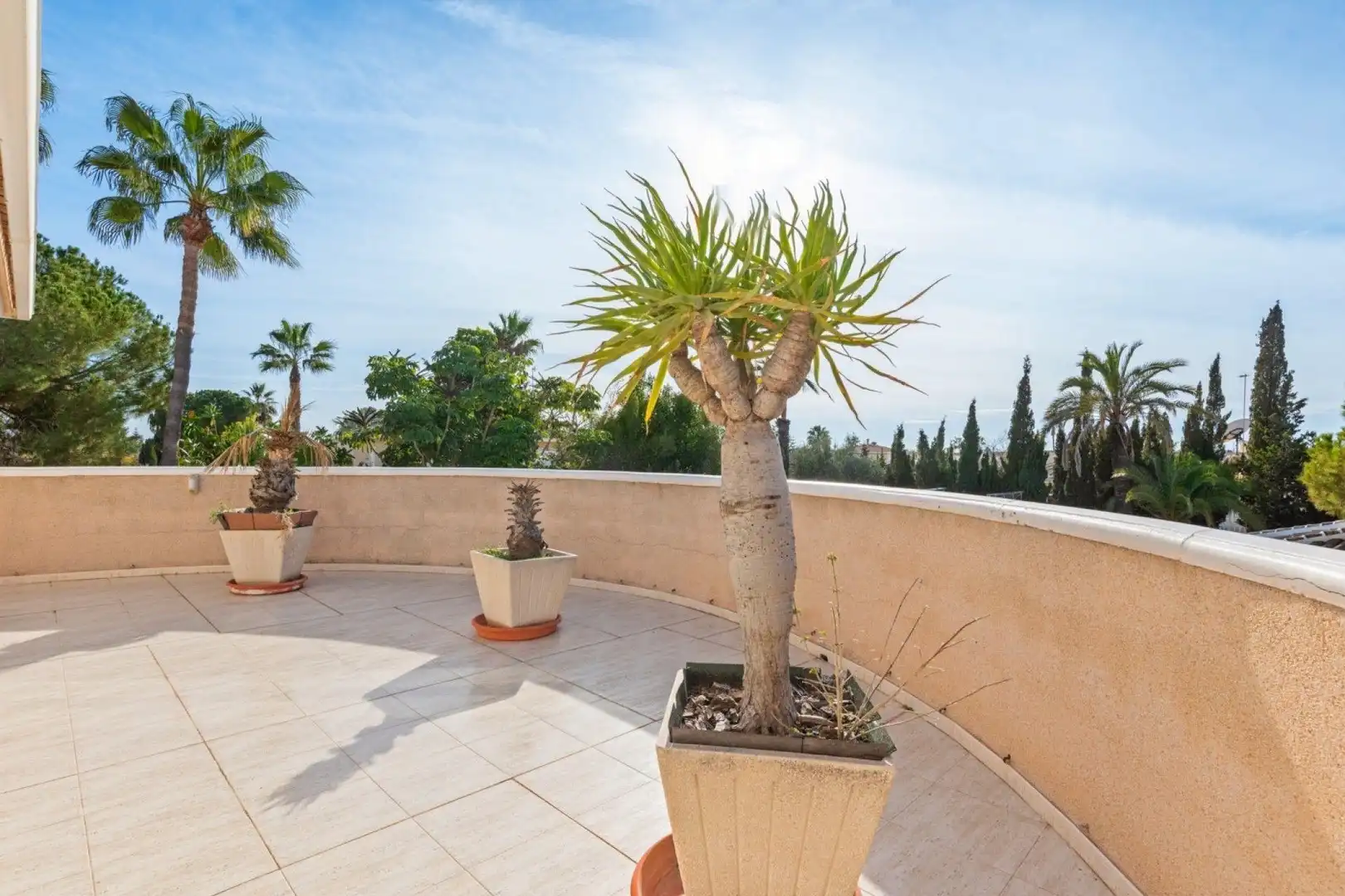 Chalet con piscina en venta en Ciudad Quesada, imagen 5