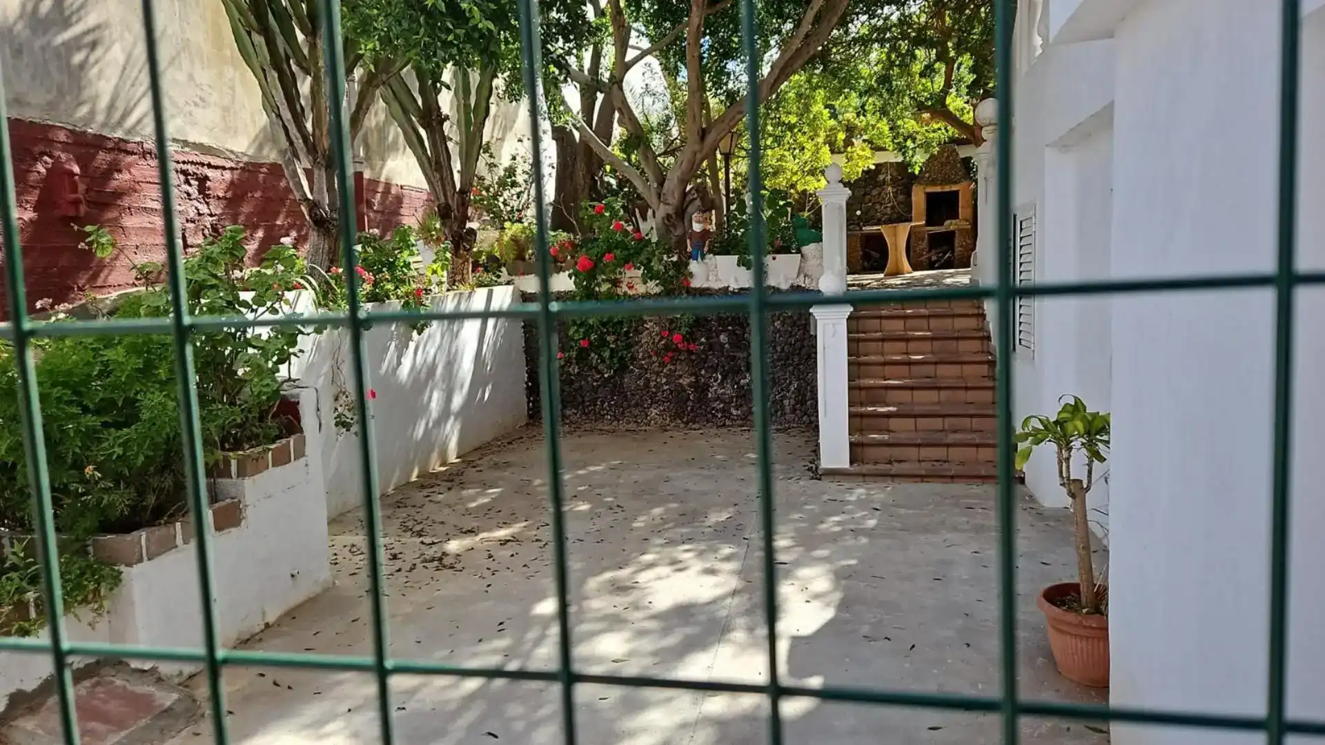 Garten von Erdgeschoss zur Miete in Las Palmas de Gran Canaria mit Privatgarten und Waschmaschine