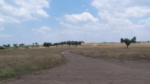 Foto 4 de Terreny en venda a Alcántara, Cáceres